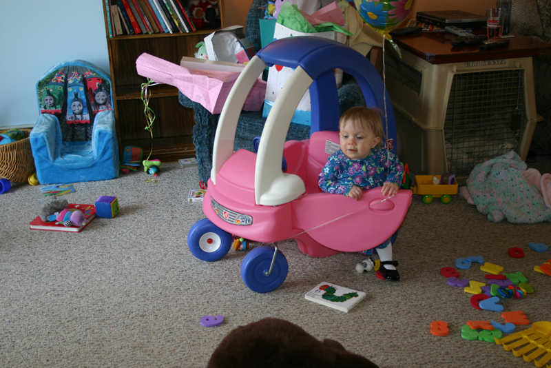 Picture 884