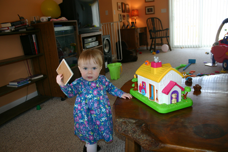 Picture 902