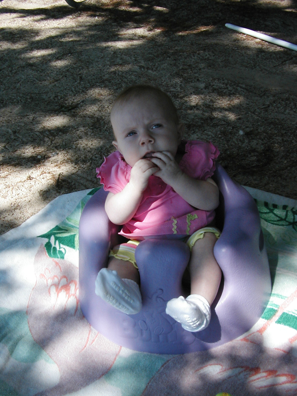 Picture 358