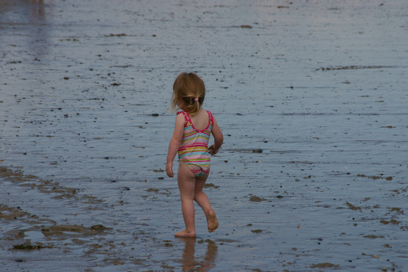 Picture 15653