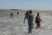 Picture 15731