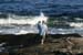 Picture 15691