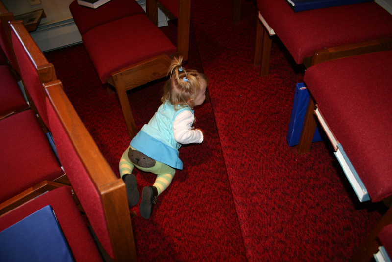 Picture 6691