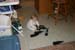 Picture 2242