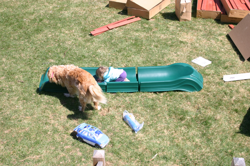 Picture 11343