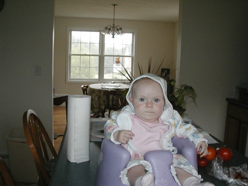 Picture 815