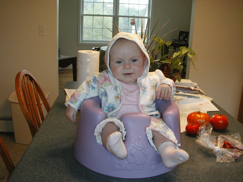 Picture 826