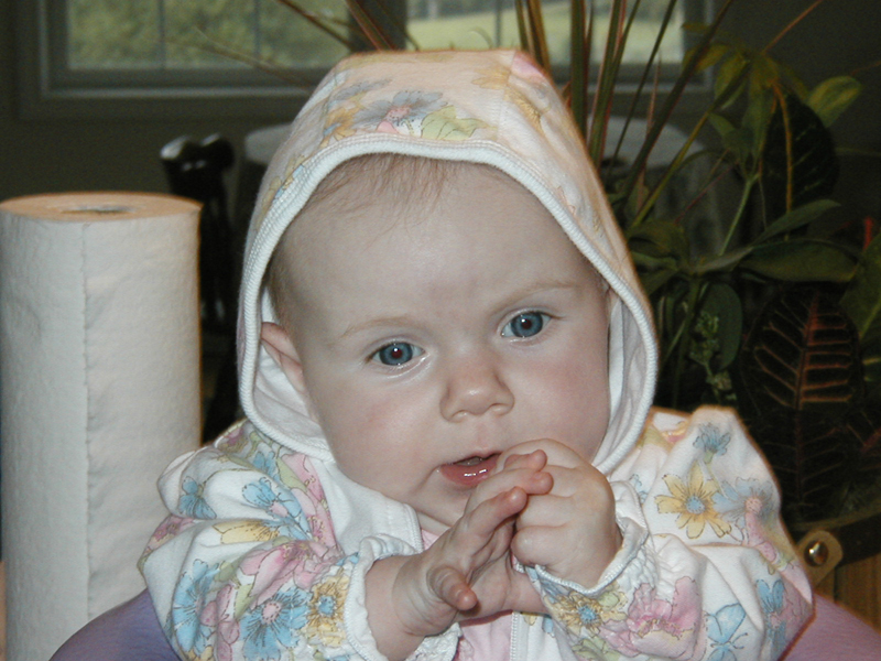 Picture 834