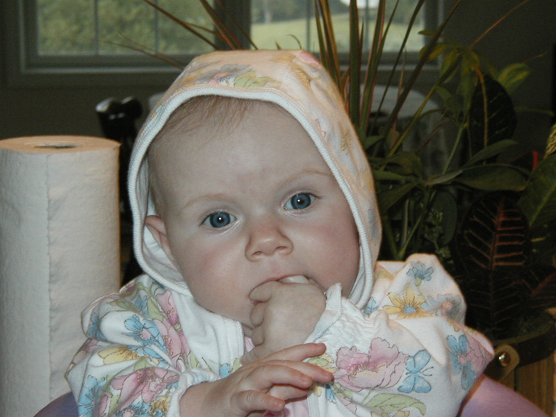 Picture 835