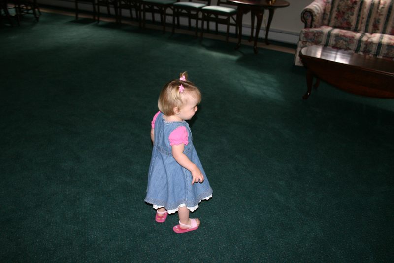 Picture 5640