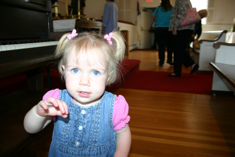 Picture 5646
