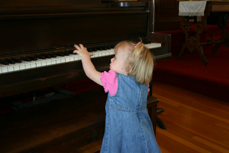 Picture 5647
