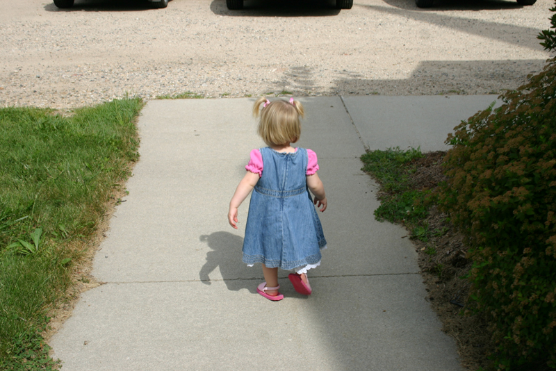 Picture 5659