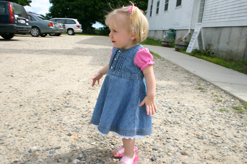Picture 5661