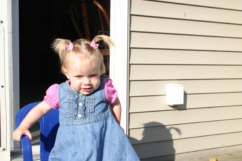 Picture 5675