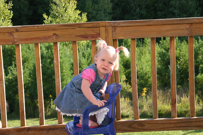 Picture 5686
