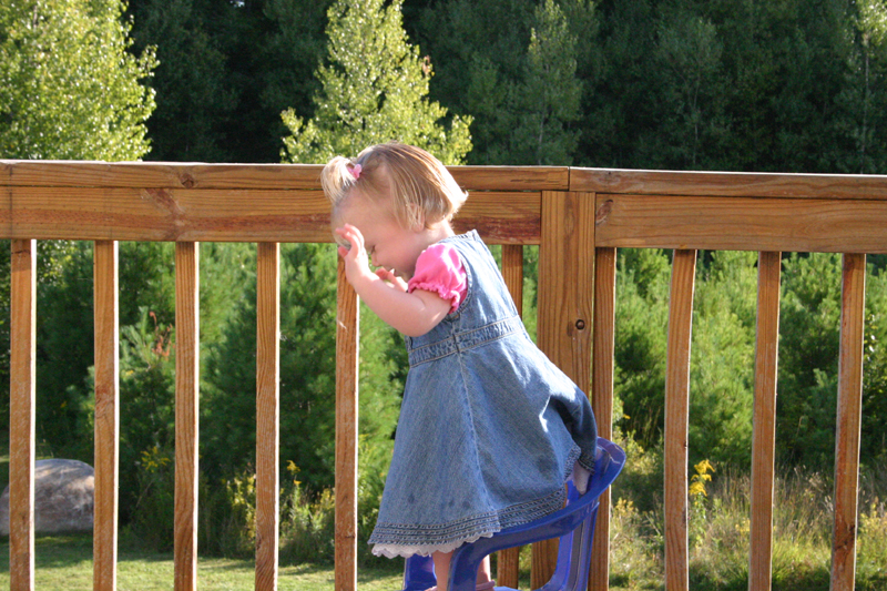 Picture 5692
