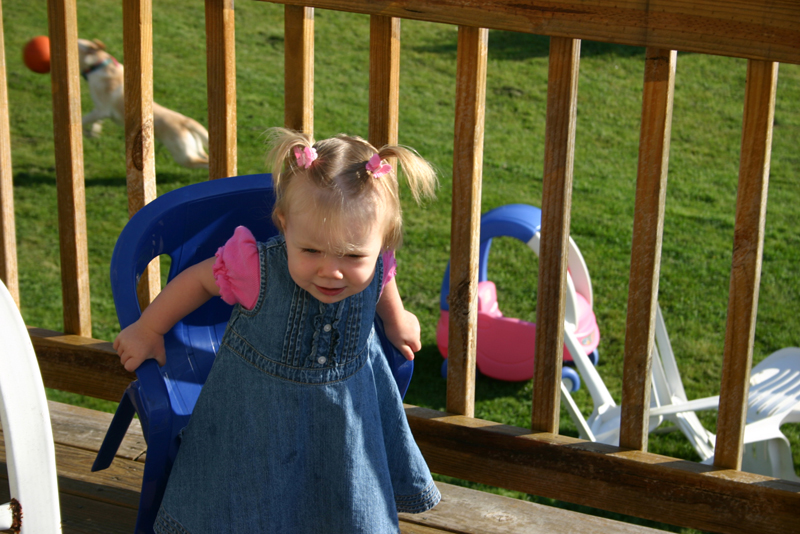 Picture 5694