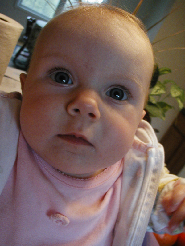 Picture 843