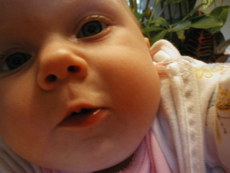 Picture 861