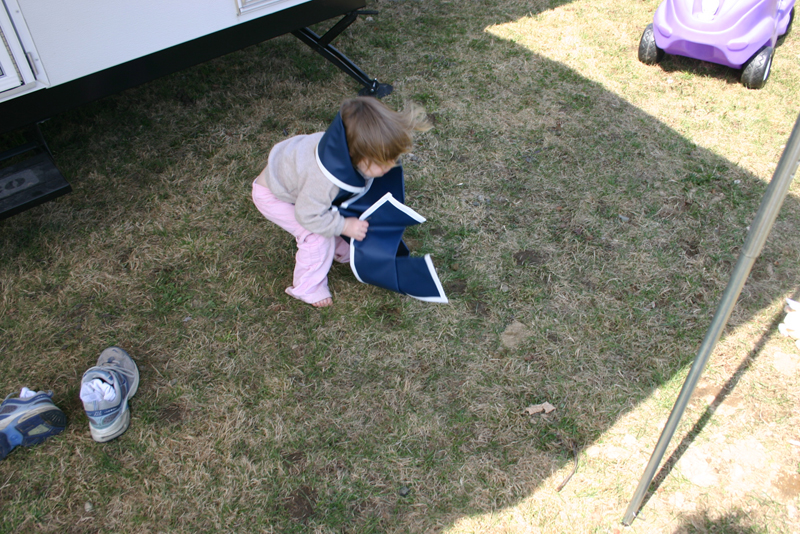 Picture 11249