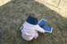 Picture 11248