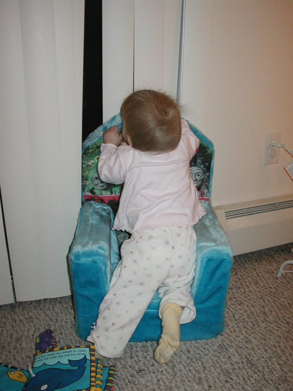 Picture 310
