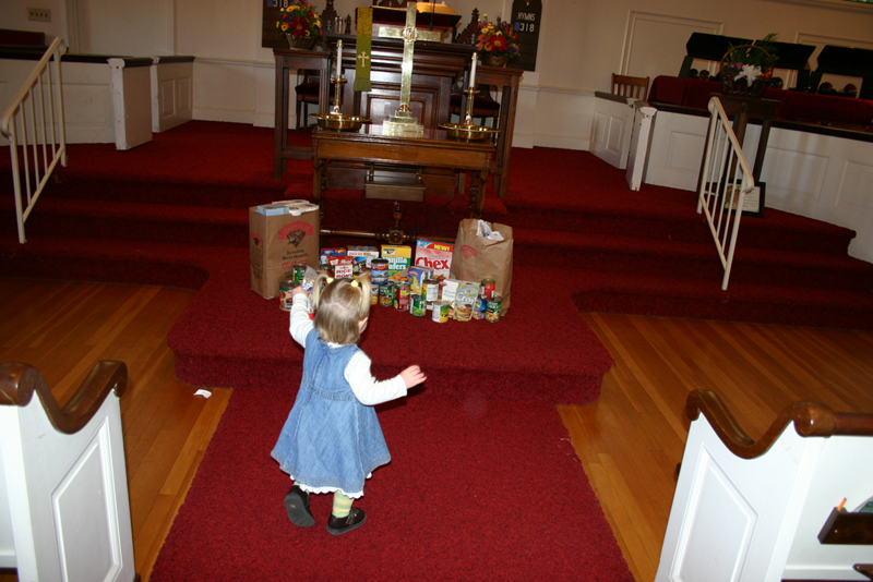 Picture 7653