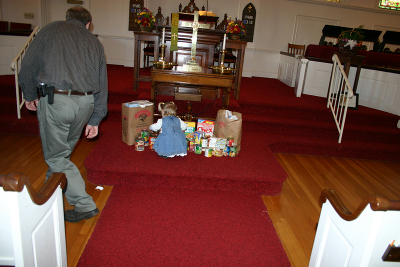 Picture 7656