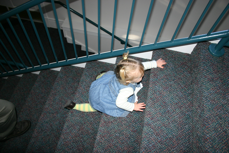 Picture 7657