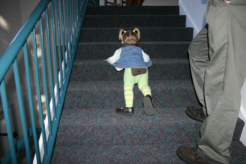 Picture 7659