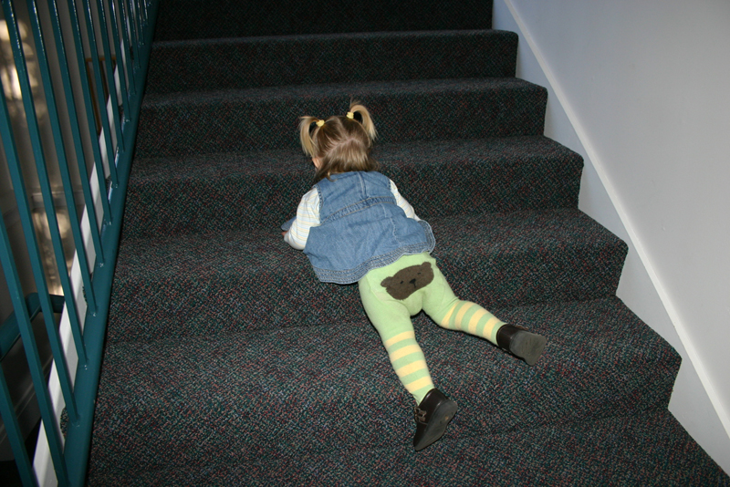 Picture 7662