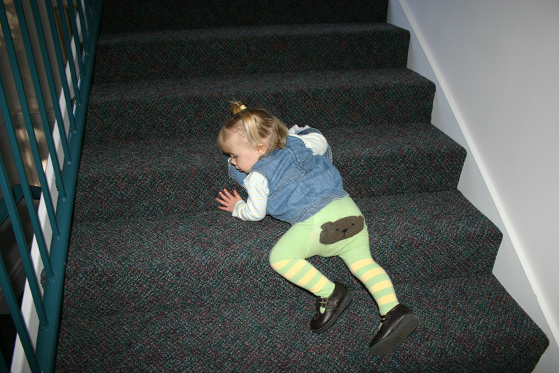Picture 7663