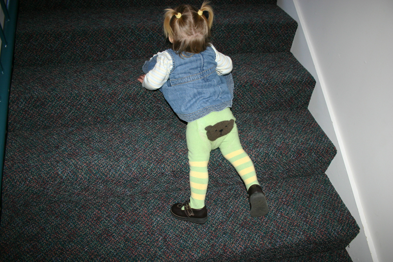 Picture 7664