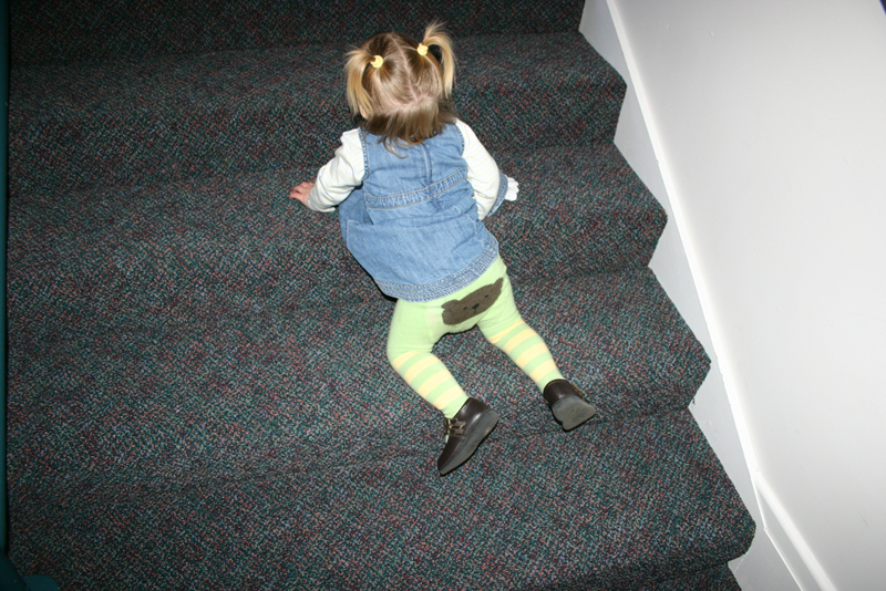 Picture 7667