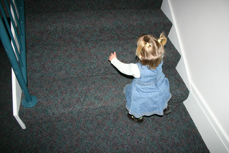 Picture 7668