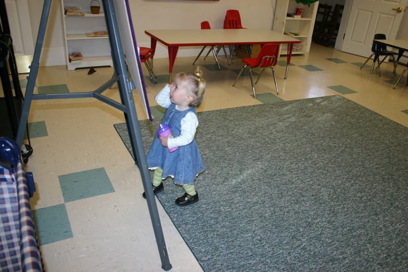 Picture 7736