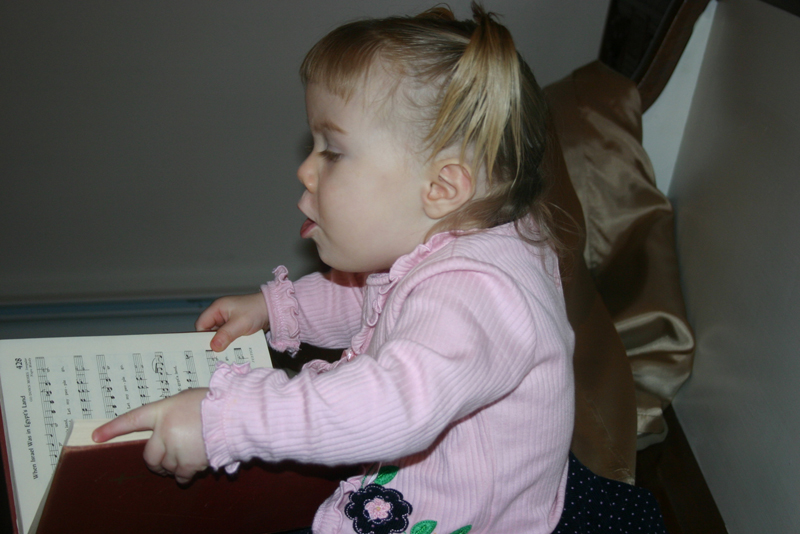 Picture 9016
