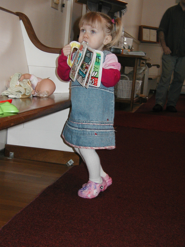 Picture 10016