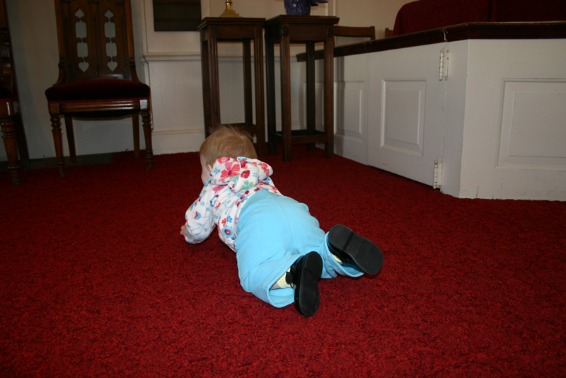 Picture 621