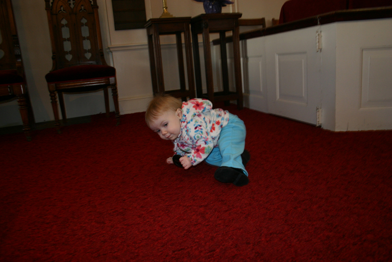 Picture 622