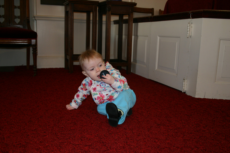 Picture 623