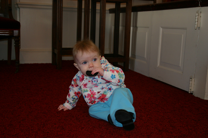 Picture 624