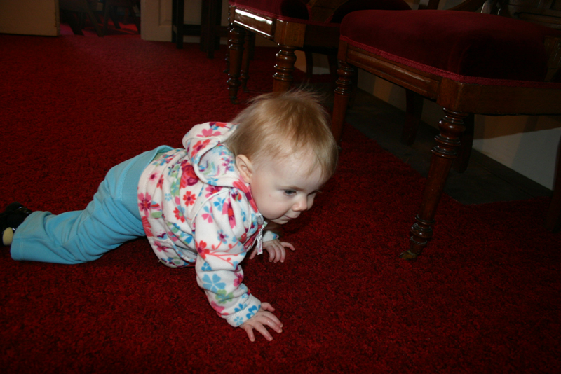 Picture 626