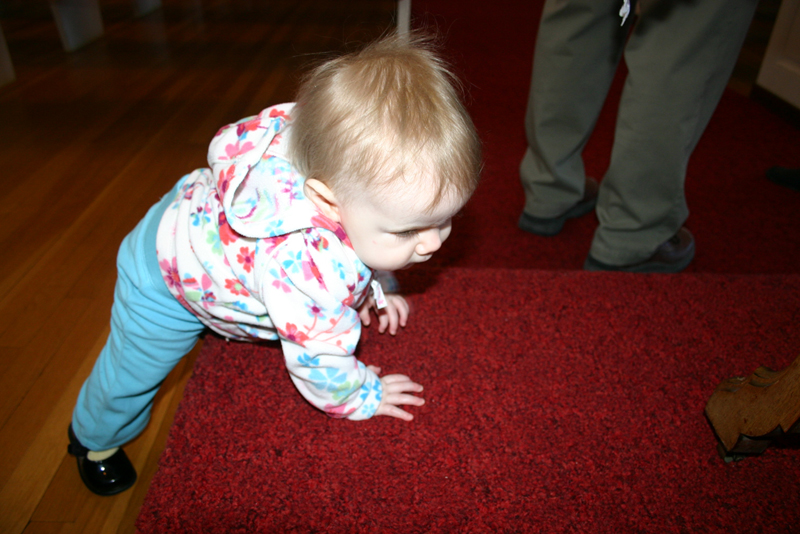 Picture 746