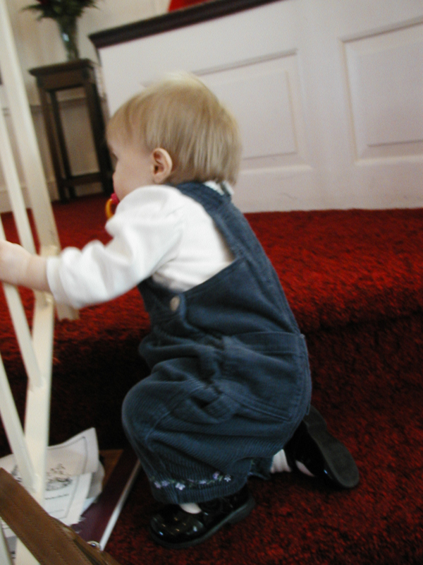 Picture 077