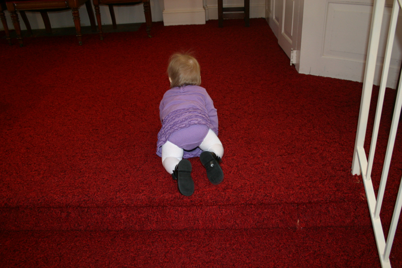 Picture 461