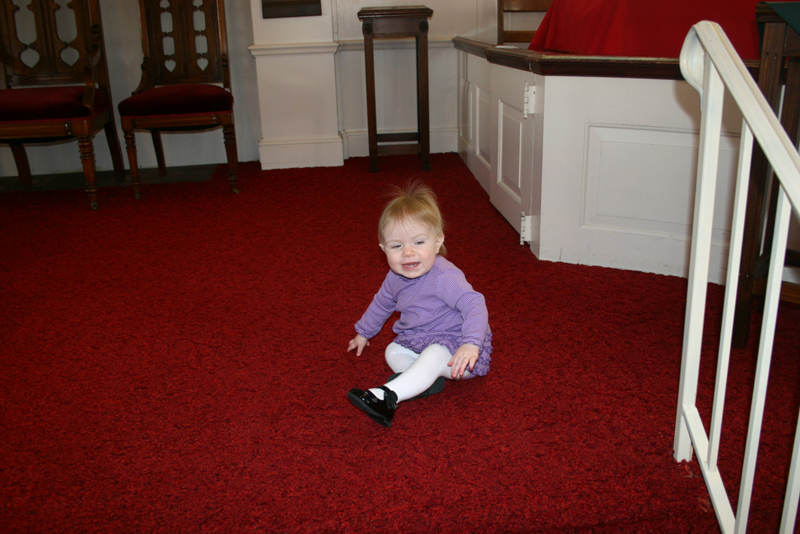 Picture 462