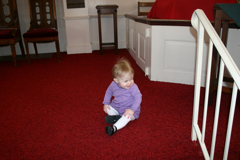 Picture 463