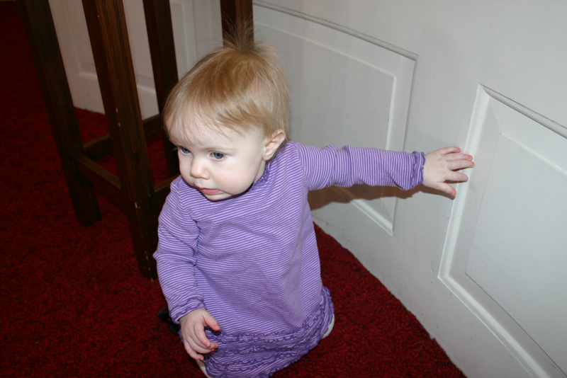 Picture 464